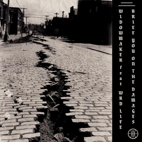 Brief You on the Damages (feat. WRD Life)