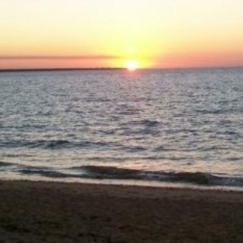 Where O' Where Are You God (feat. Bill Scerri)