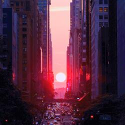 月光に染まる影