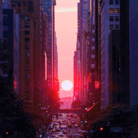 月光に染まる影