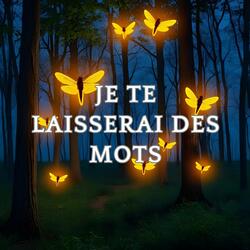 Je te laisserai des mots (Special Version)