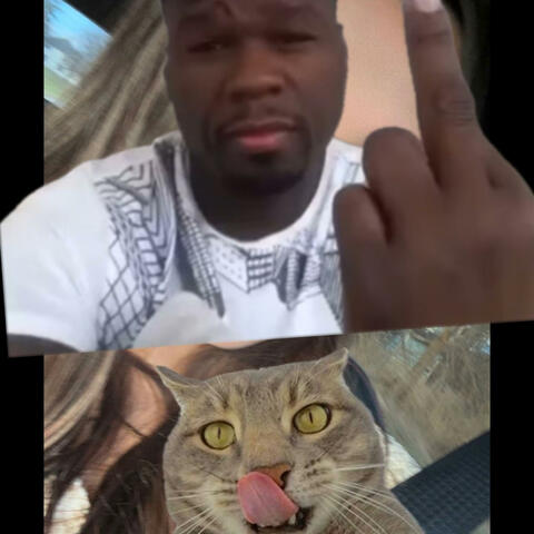Pussy