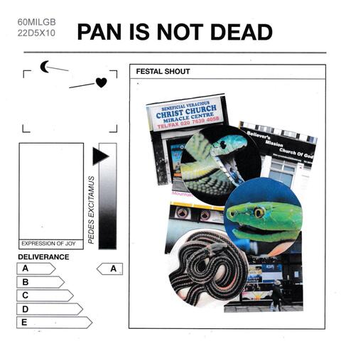 Pan Is Not Dead