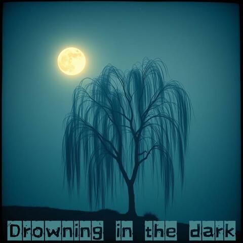 Drowning in the dark