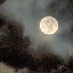 CLOUDY NIGHT