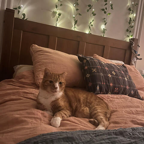 My Own Bedroom