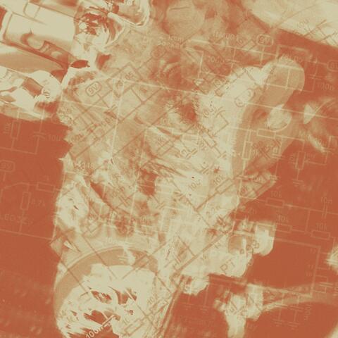 The Cowboy's Carcass