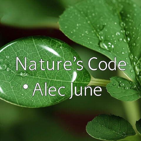 Nature's Code
