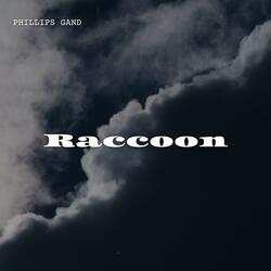 Raccoon