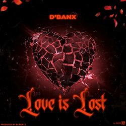 Love Is Lost