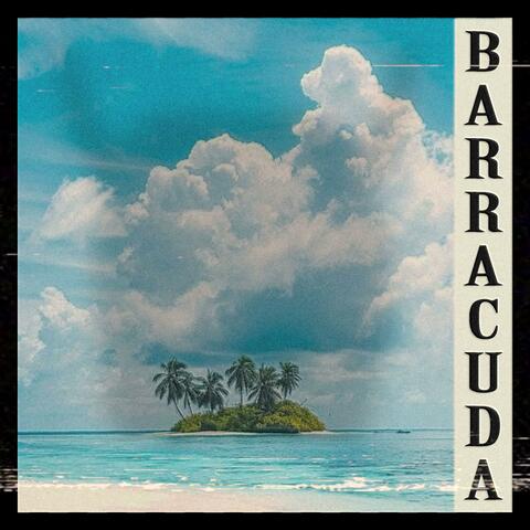 Barracuda