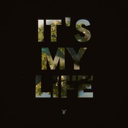 IT'S MY LIFE