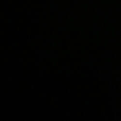 Lil bishop X Motionboy Tay(Brazy Winter)