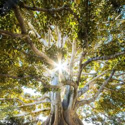 Most Beautiful Piano Songs