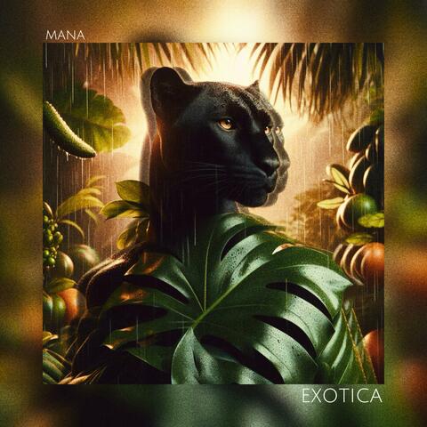 Exotica