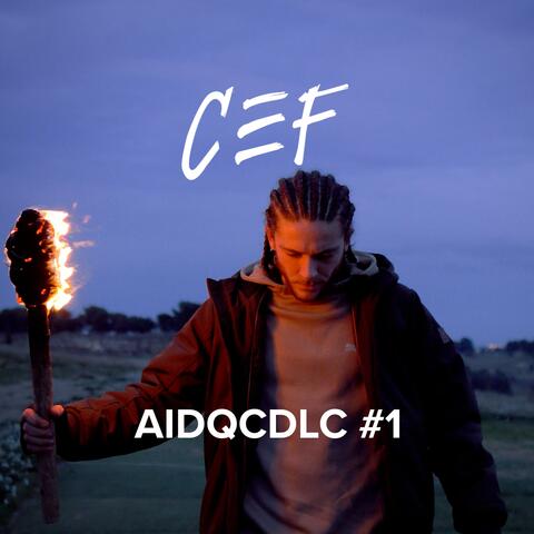 AIDQCDLC#1