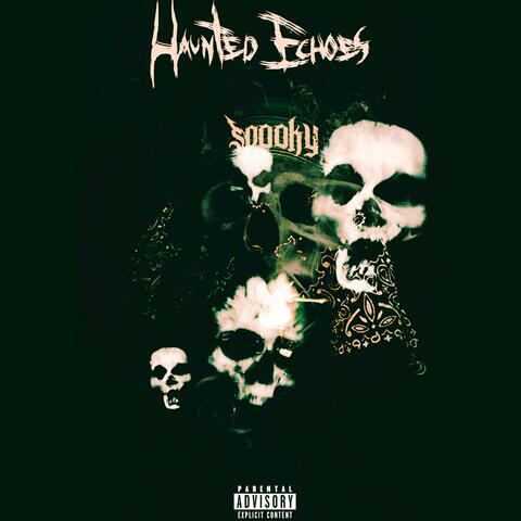 Haunted Echoes