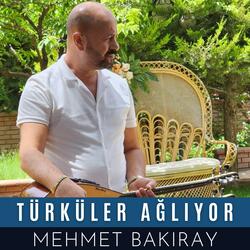 Türküler Ağlıyor