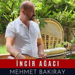 İncir Ağacı