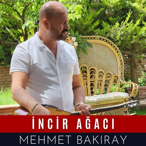 İncir Ağacı
