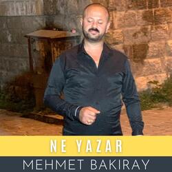 Ne Yazar