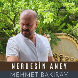 Nerdesin Aney