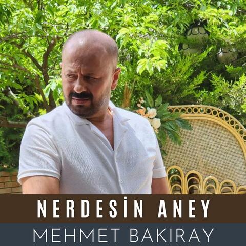 Nerdesin Aney