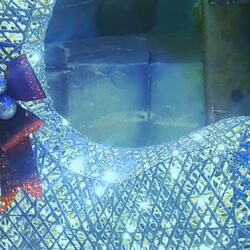 ❀⋆.circle˚.☘︎