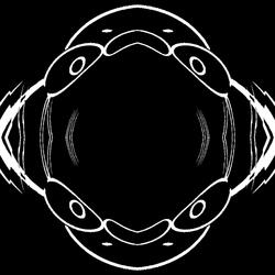 The Echo