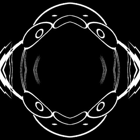 The Echo