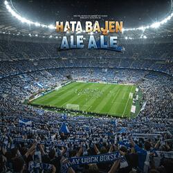 Hata Bajen Ale Ale