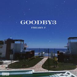 Goodbye
