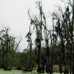 and what happens when you give up