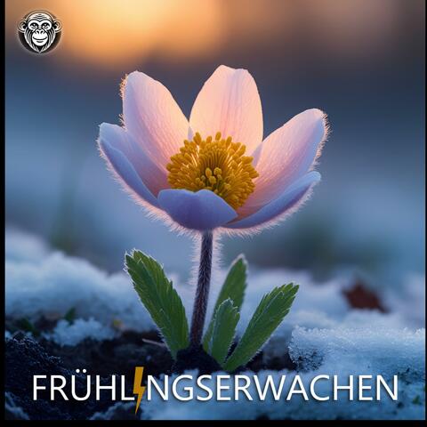 Frühlingserwachen