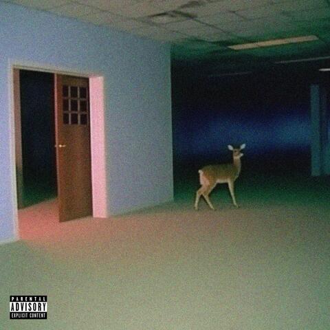 Wreck Myself  (Slowed + Reverb)