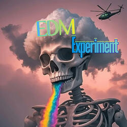 EDM Experiment
