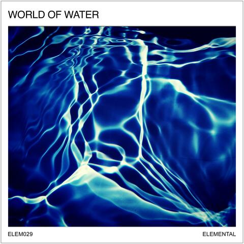 The World of Water: Fluid Motion