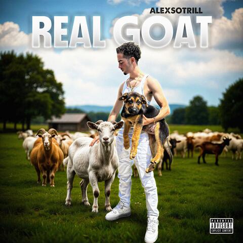 Real Goat