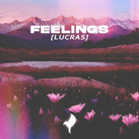 Feelings