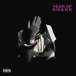 Year Of Snake
