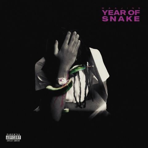 Year Of Snake