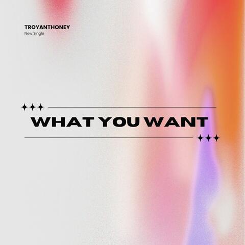 What You Want