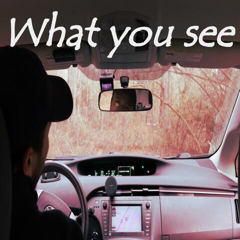 What you see