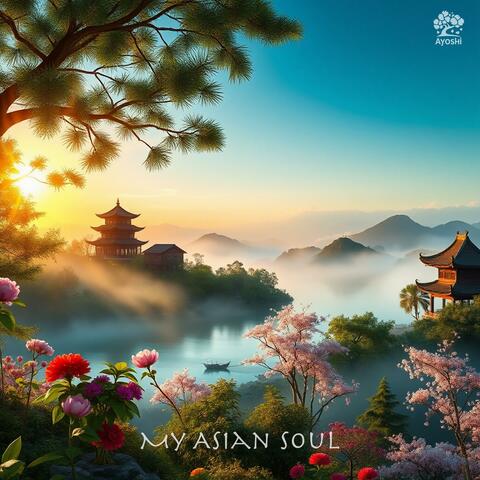 My Asian Soul