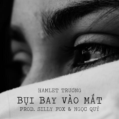 Bụi Bay Vào Mắt (feat. Hamlet Trương & S'Fox) [Lofi Version]