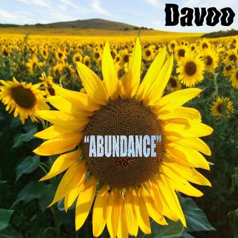 Abundance