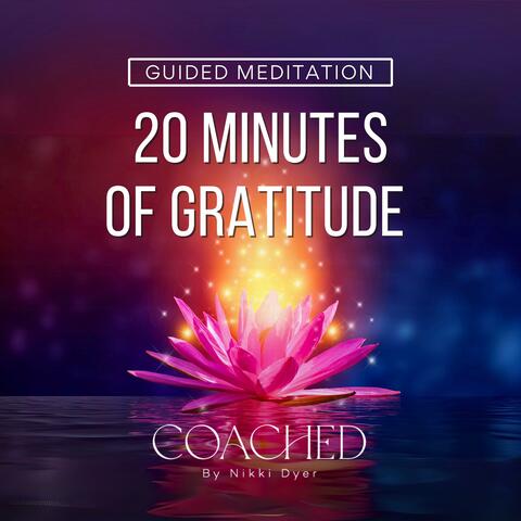 20 Minutes of Gratitude