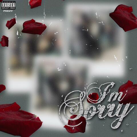 Im Sorry