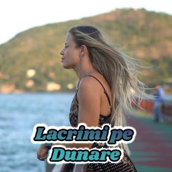 Lacrimi pe Dunare (Remix)