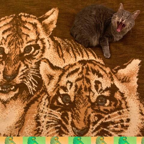 Love is a Dangerous Cat!